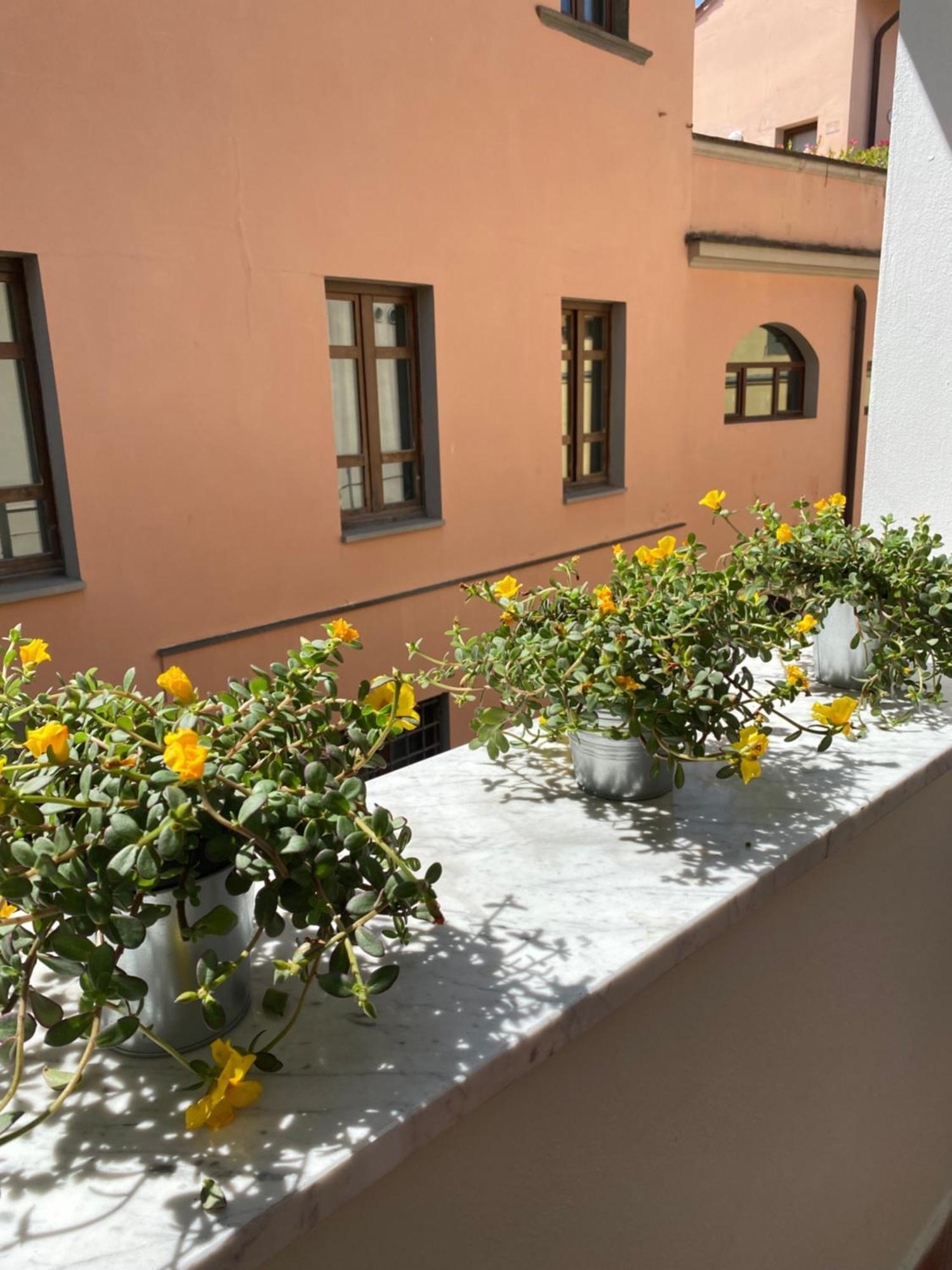 Blom Apartments Піза Екстер'єр фото